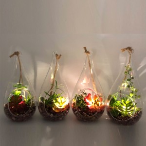 LED sklo stolní dekorativní umělé sukulentní rostliny s Globe Display Váza