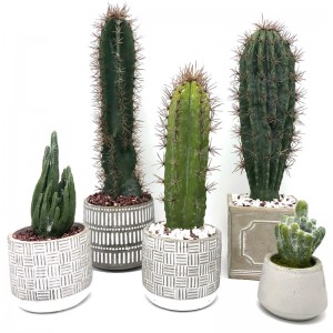 Moderní umělý kaktus doma nebo v kanceláři v dekorativní hrnce sukulentní dekorace